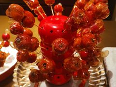 -羲和雅苑•北京烤鸭(平安国际金融中心店)