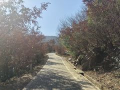 -虞山风景区