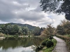 -四明山国家森林公园