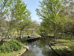 -采石矶景区