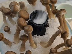 -探窝·竹笙椰子鸡(车陂店)