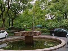 -申粤轩酒楼·三十年粤菜经典(丁香花园店)