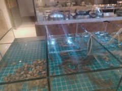 -“香”全日餐厅·株洲大汉希尔顿酒店