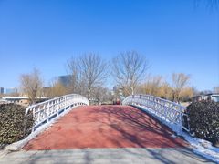 -大兴滨河森林公园