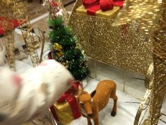 -重庆大队长火锅(凤城八路店)