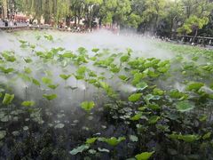 -四川大学(望江校区)