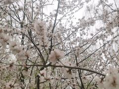 -颐和园