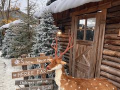 -HERRE·FARM 赫尔露营农场·团建聚会包场