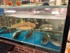 水产区-红叶日料·放题·海胆·定食(星海店)