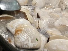 -拾下卜卜贝•海鲜火锅