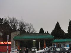 -保定市动物园