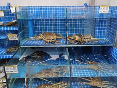 水产区-本家食堂(华南店)