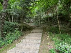 -上海佘山国家森林公园天马山园