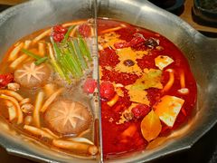 双拼鸳鸯锅-湊湊火锅·茶憩(上海合生汇店)