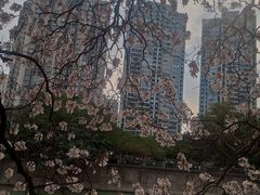 -红星桥(地铁站)