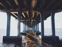 -宝安西湾红树林湿地公园