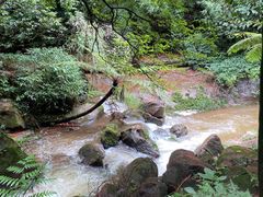 -赤水丹霞旅游区·佛光岩
