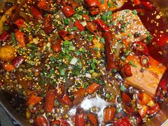 酒阳毛血旺-酒阳蒸经小酒馆(解放碑店)