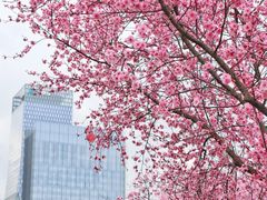 -白塘生态植物园