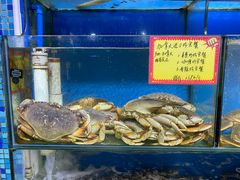 -蚝专家(北滘店)