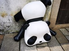 -青果巷历史文化街区
