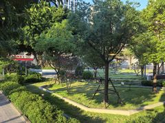 -野草莓自由市场
