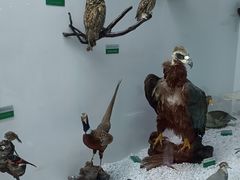 -盐城丹顶鹤湿地生态旅游区