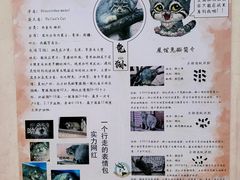 -青藏高原野生动物园