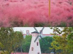 -自然谷恐龙园