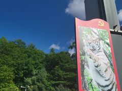-横道河子东北虎林园