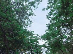 -英雄广场