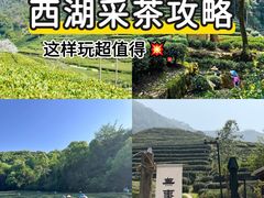 -中国茶叶博物馆(双峰馆区)