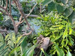 -北京植物园-展览温室