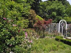 -昆山城市生态森林公园