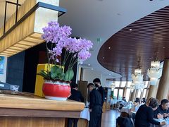 -圆苑(金茂店)