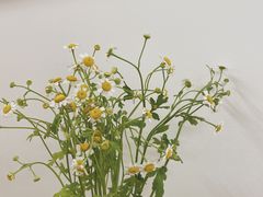 -Ten Olives甜点