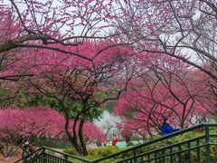 -重庆彩云湖湿地公园