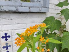 -天然居(伦教店)