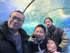 -泉城欧乐堡海洋极地世界