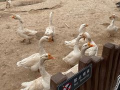 -太原动物园