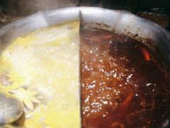 红颜花胶鸡锅-湊湊火锅·茶憩(石家庄万象城店)