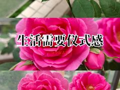 -成都海湾酒店·海湾壹品中餐厅(远大购物中心店)