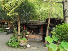 -青城甲(青城山店)