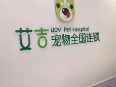 -艾吉宠物医院·疑难杂症转诊中心·猫友好(碧江路院)