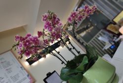 -轻妆Feel·半永久纹眉眼线