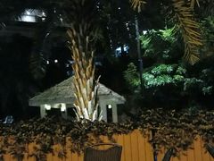 景观位-三英温泉度假酒店-自助餐厅