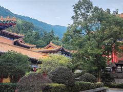 -天目山大树王景区