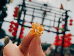 -青龙山国家森林公园