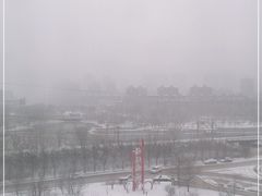 -前关湿地公园