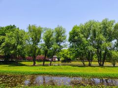 -西溪国家湿地公园